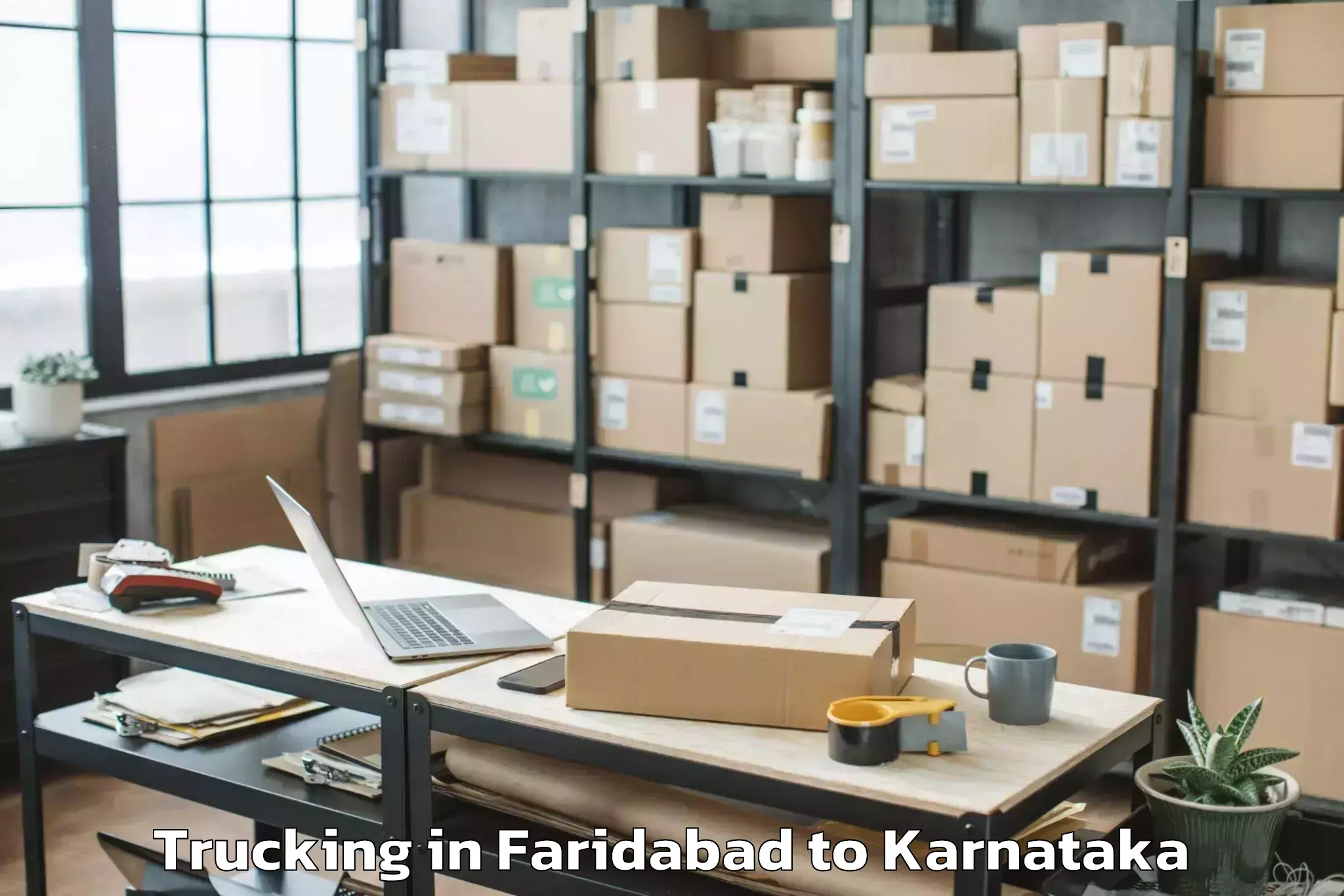 Book Faridabad to Channarayapatna Trucking Online